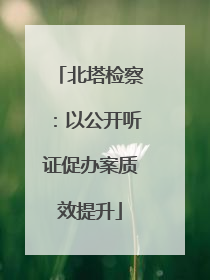 北塔检察：以公开听证促办案质效提升