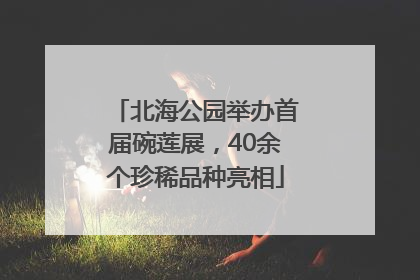 北海公园举办首届碗莲展，40余个珍稀品种亮相