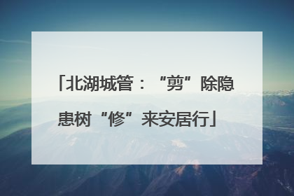 北湖城管：“剪”除隐患树“修”来安居行