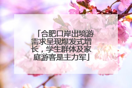 合肥口岸出境游需求呈现爆发式增长，学生群体及家庭游客是主力军