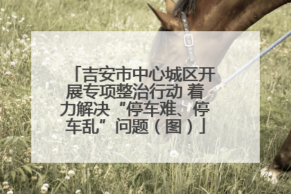 吉安市中心城区开展专项整治行动 着力解决“停车难、停车乱”问题（图）