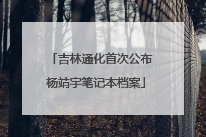 吉林通化首次公布杨靖宇笔记本档案