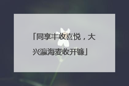 同享丰收喜悦，大兴瀛海麦收开镰