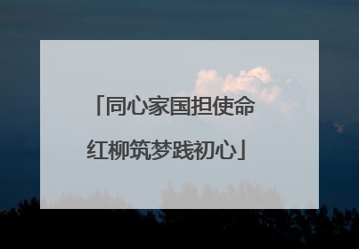 同心家国担使命 红柳筑梦践初心