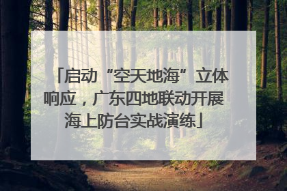 启动“空天地海”立体响应，广东四地联动开展海上防台实战演练