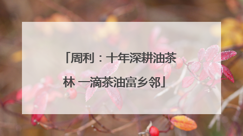 周利：十年深耕油茶林 一滴茶油富乡邻
