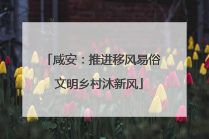 咸安：推进移风易俗 文明乡村沐新风