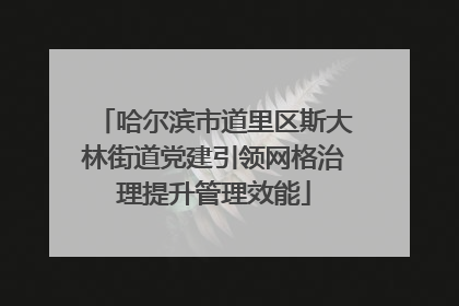 哈尔滨市道里区斯大林街道党建引领网格治理提升管理效能