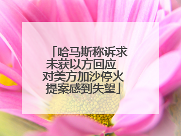 哈马斯称诉求未获以方回应 对美方加沙停火提案感到失望