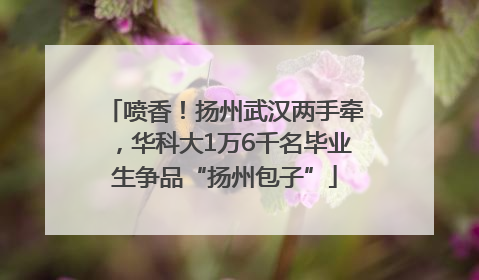 喷香！扬州武汉两手牵，华科大1万6千名毕业生争品“扬州包子”
