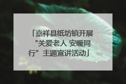 嘉祥县纸坊镇开展“关爱老人 安暖同行”主题宣讲活动