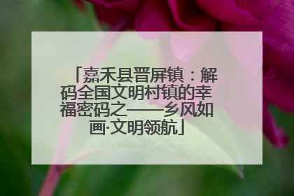 嘉禾县晋屏镇：解码全国文明村镇的幸福密码之——乡风如画·文明领航
