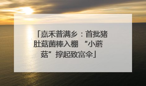 嘉禾普满乡：首批猪肚菇菌棒入棚 “小蘑菇”撑起致富伞