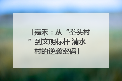 嘉禾：从“拳头村”到文明标杆 清水村的逆袭密码