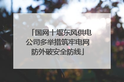 国网十堰东风供电公司多举措筑牢电网防外破安全防线
