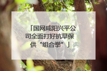国网咸阳兴平公司全面打好抗旱保供“组合拳”