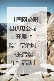 国网泌阳县供电公司：开展“‘粽’享清风 •廉洁端午”活动