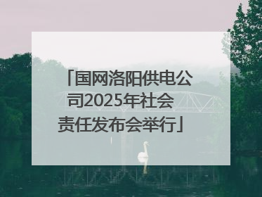 国网洛阳供电公司2025年社会责任发布会举行