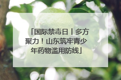 国际禁毒日丨多方聚力！山东筑牢青少年药物滥用防线