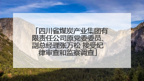四川省煤炭产业集团有限责任公司原党委委员、副总经理张万松 接受纪律审查和监察调查