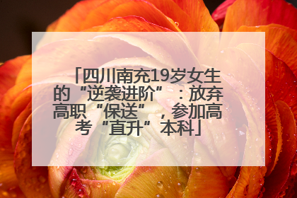四川南充19岁女生的“逆袭进阶”：放弃高职“保送”，参加高考“直升”本科