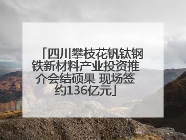 四川攀枝花钒钛钢铁新材料产业投资推介会结硕果 现场签约136亿元