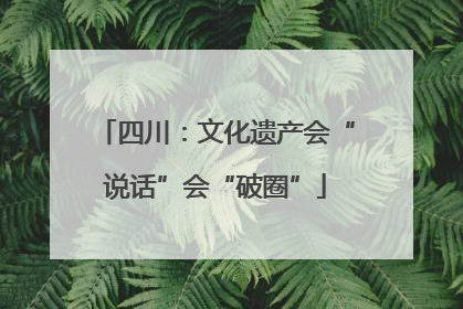 四川：文化遗产会“说话”会“破圈”