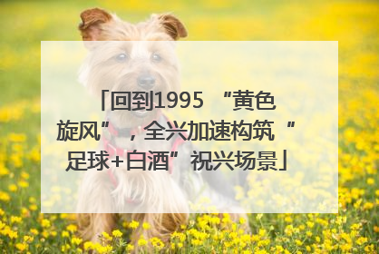 回到1995 “黄色旋风”，全兴加速构筑“足球+白酒”祝兴场景