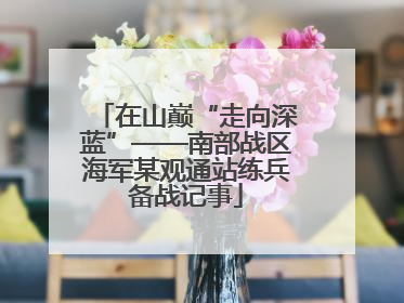 在山巅“走向深蓝”——南部战区海军某观通站练兵备战记事