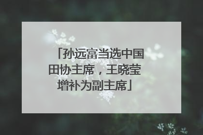 孙远富当选中国田协主席，王晓莹增补为副主席