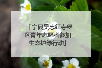 宁夏吴忠红寺堡区青年志愿者参加生态护绿行动