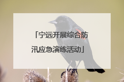宁远开展综合防汛应急演练活动