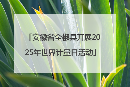 安徽省全椒县开展2025年世界计量日活动
