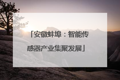安徽蚌埠：智能传感器产业集聚发展