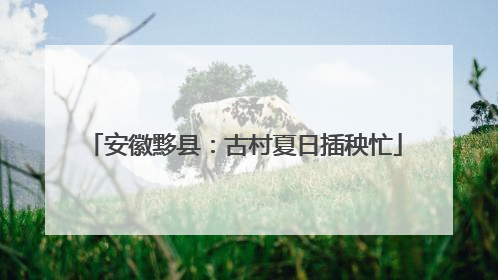 安徽黟县：古村夏日插秧忙