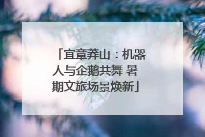 宜章莽山：机器人与企鹅共舞 暑期文旅场景焕新