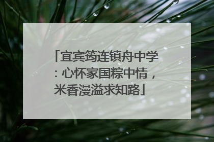 宜宾筠连镇舟中学：心怀家国粽中情，米香漫溢求知路