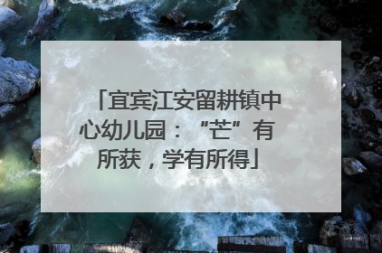 宜宾江安留耕镇中心幼儿园：“芒”有所获，学有所得