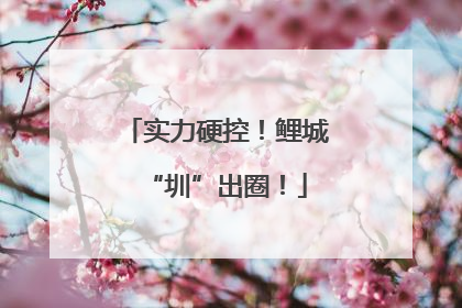 实力硬控！鲤城“圳”出圈！