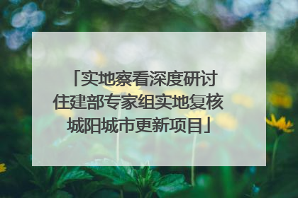 实地察看深度研讨 住建部专家组实地复核城阳城市更新项目