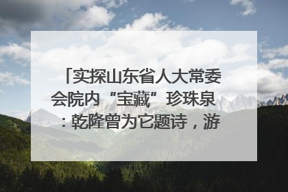 实探山东省人大常委会院内“宝藏”珍珠泉：乾隆曾为它题诗，游客无需预约免费游览