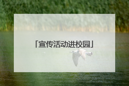 宣传活动进校园