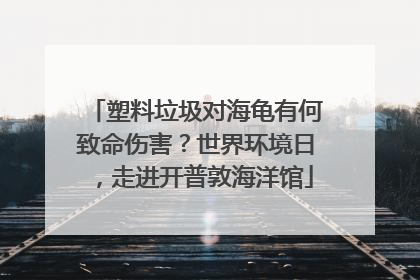 塑料垃圾对海龟有何致命伤害？世界环境日，走进开普敦海洋馆