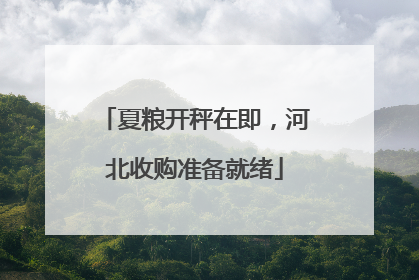 夏粮开秤在即，河北收购准备就绪