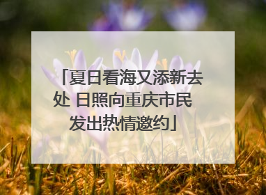 夏日看海又添新去处 日照向重庆市民发出热情邀约