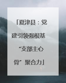 夏津县：党建引领强根基 “支部主心骨”聚合力