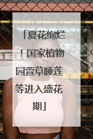 夏花绚烂！国家植物园萱草睡莲等进入盛花期