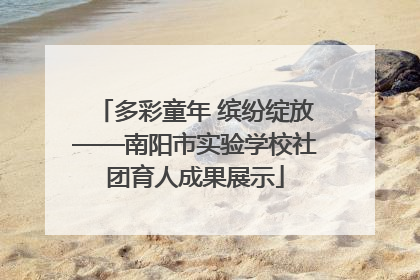 多彩童年 缤纷绽放——南阳市实验学校社团育人成果展示