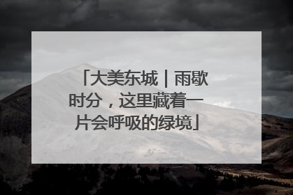 大美东城｜雨歇时分，这里藏着一片会呼吸的绿境