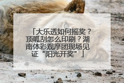 大乐透如何摇奖？顶呱刮怎么印刷？湖南体彩观摩团现场见证“阳光开奖”